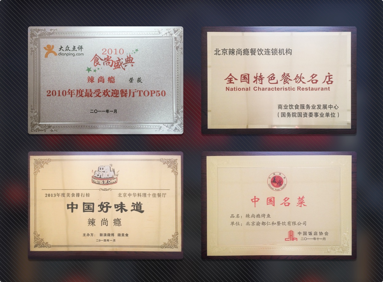 团队荣誉.jpg